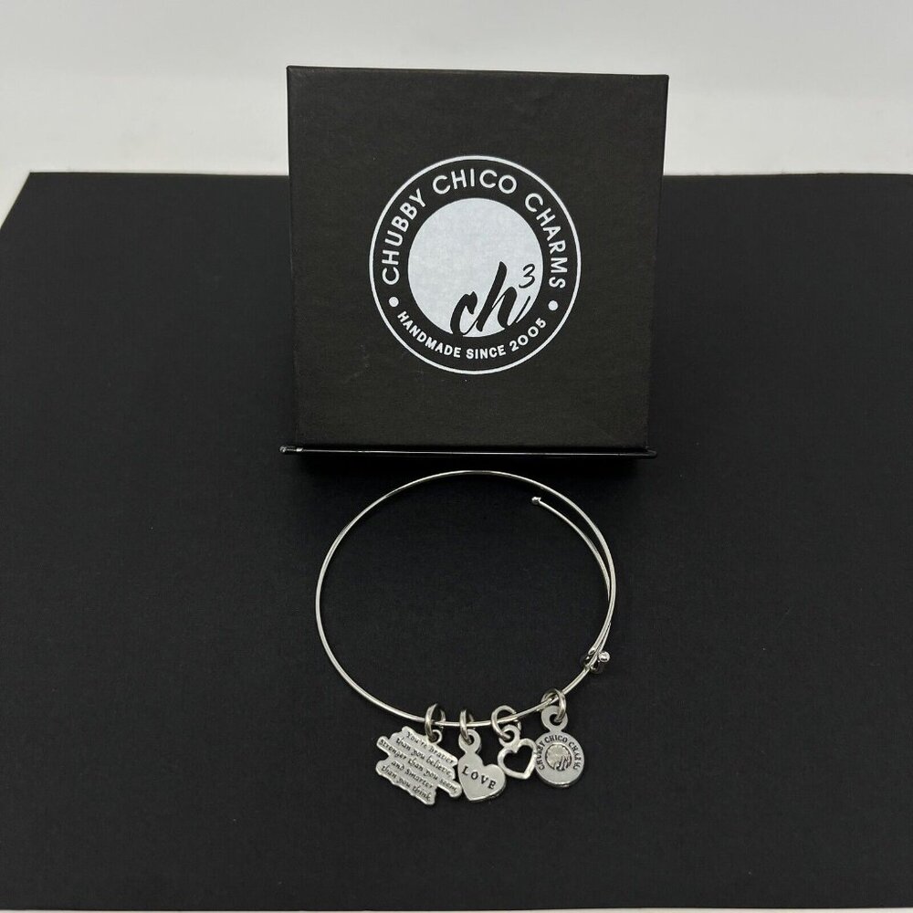 Chubby Chicos Charms You’re Braver That You Belive  Silver Charm Bracelet